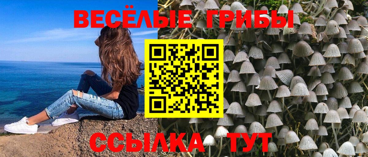 Юрга  Псилоцибиновые грибы GOLDEN TEACHER  Вход с VPN 